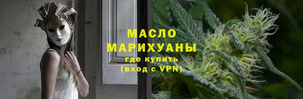 индика Архангельск