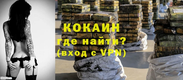 молекула духа Костерёво