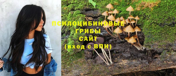 МДПВ Краснослободск