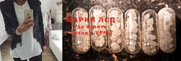 герыч Корсаков
