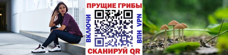Псилоцибиновые грибы Magic Shrooms Эртиль